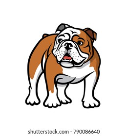 English bulldog - isolated vector illustration