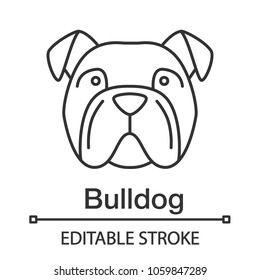 English Bulldog linear icon. Thin line illustration. Utility dog breed. Contour symbol. Vector isolated outline drawing. Editable stroke