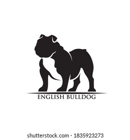 English bulldog logo isolated vector illustration