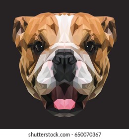 English Bulldog low poly design. Triangle vector illustration.