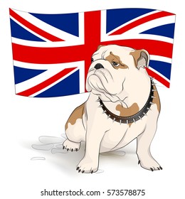 English bulldog on a background of the British flag