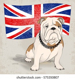 English bulldog on a background of the British flag