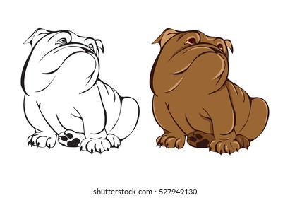 English bulldog, painting, vector illustration