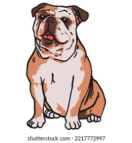 Dibujo en color de una mascota de bulldog inglesa