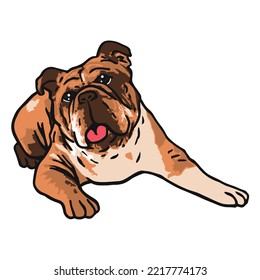 Dibujo en color de una mascota de bulldog inglesa