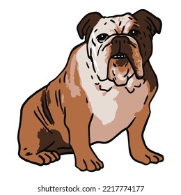 Dibujo en color de una mascota de bulldog inglesa