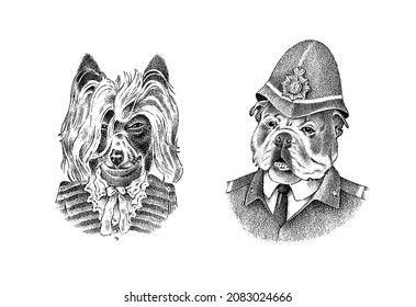  English Bulldog in police suit. Briard or Herding dog dressed up in Suit. Fashion Animal character in clothes. Hand drawn sketch. Vector engraved illustration for label, logo and T-shirts or tattoo.