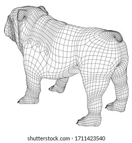 English Bulldog polygonal lines illustration. Abstract vector dog on the white background