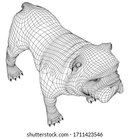 English Bulldog polygonal lines illustration. Abstract vector dog on the white background