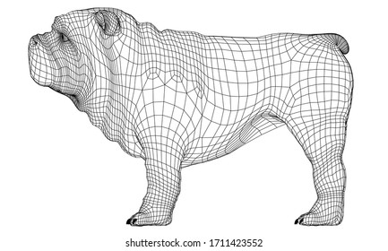 English Bulldog polygonal lines illustration. Abstract vector dog on the white background