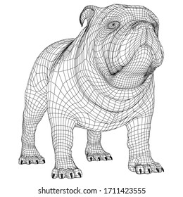 English Bulldog polygonal lines illustration. Abstract vector dog on the white background