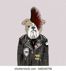 English bulldog punk, furry art illustration, fashion animals