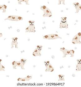 English bulldog seamless pattern. Different poses, coat colors set.  Vector illustration