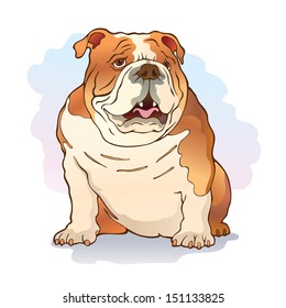 English bulldog sitting on the ground, vector Illustration