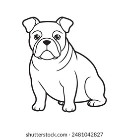 An english bulldog sitting upright, perfect for use in breed-specific articles or pet product advertisements.