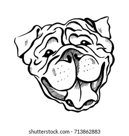 English Bulldog, smiling dog face, portrait, sketch, black and white vector illustration 