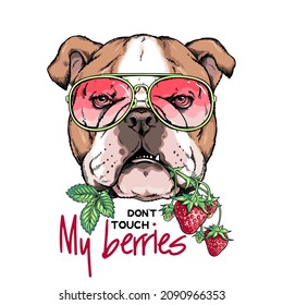 Englischer Bulldog mit einem Haufen Erdbeeren. Fass meine Beeren-Illustration nicht an! Stilvolles Bild für den Druck auf einer beliebigen Oberfläche	