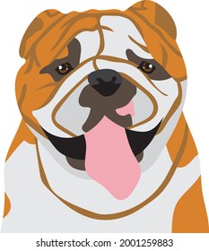 English Bulldog With Tongue Sticking Out Vector Design Artwork Isolated
