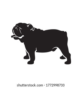 English bulldog - vector illustration
