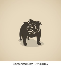 English bulldog - vector illustration