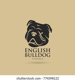 English bulldog - vector illustration