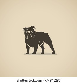 English bulldog - vector illustration