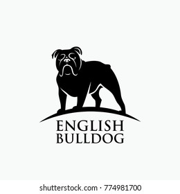 English bulldog - vector illustration