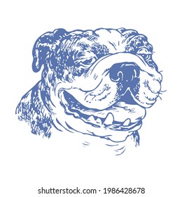 English Bulldog vector. Puppy T-shirt design. Download it now