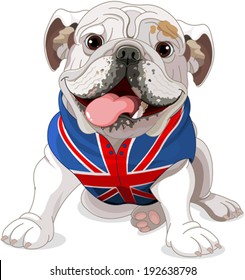 English Bulldog wearing a coat with the symbol of the English flag