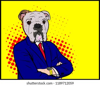 English bulldog wearing a suit, with Crossed Arms. Business Man With Animal Head. Vector Pop Art illustration in retro comic book vintage style 