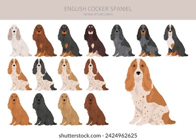 English cocker spaniel clipart. Different poses, coat colors set.  Vector illustration