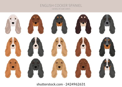 English cocker spaniel clipart. Different poses, coat colors set.  Vector illustration