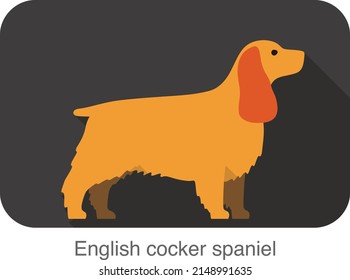 English Cocker Spaniel dog breed flat icon design, vector illustration