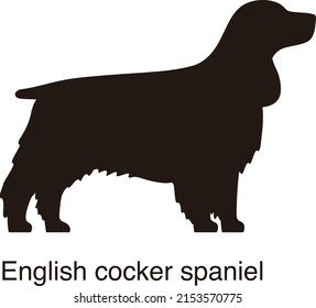 English cocker spaniel dog silhouette, side view, vector illustration