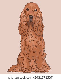 English Cocker Spaniel Dog Sitting Front View