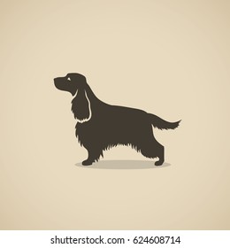 English Cocker Spaniel Dog - Vector Illustration