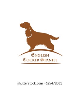 English cocker spaniel dog - vector illustration