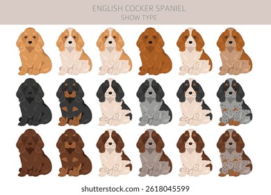 Inglês cocker spaniel mostrar tipo clipart e padrão sem costura. Poses diferentes, conjunto de cores de casaco.  Ilustração vetorial