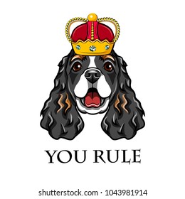 English cocker spaniel wearing in crown. King dog. Vector illustration. You rule lettering.