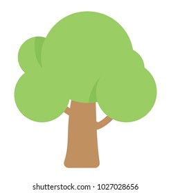 
An English Elm, Forest Tree Flat Icon
