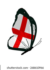 English flag butterfly - vector