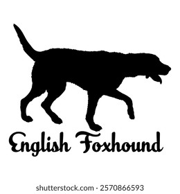 English Foxhound. dog silhouette, dog breeds, logo, vector, silhouette,  animal, illustration, icon, sign, design, black, symbol, pet, love
