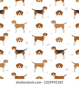 English foxhound seamless pattern. Different poses, coat colors set.  Vector illustration