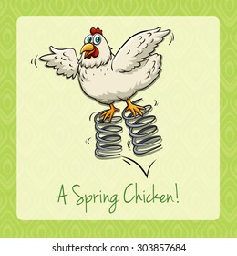 English idiom spring chicken illustration