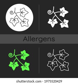 English ivy dark theme icon. Hedera helix, vine. Crawling flowering plant. Cause of allergic reaction, allergen. Linear white, simple glyph and RGB color styles. Isolated vector illustrations
