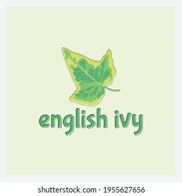 English Ivy Leaf Vector Design. Simple Indoor Plant Leaf For Your Logo Ro Bussines