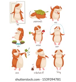 English Language Prepositions of Place and Cute Hamster Character Set, Educational Visual Material for Children Education Vector Illustration
