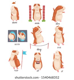 Preposiciones en inglés de lugar y juego de caracteres de hámster corto, material educativo para niños ilustraciones vectoriales de educación