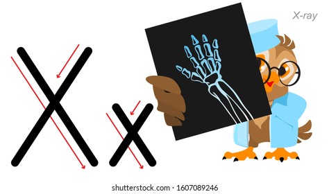 English letter abc alphabet. Owl doctor holds an x-ray. Isolated on white vector cartoon illustration