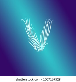 English letter v